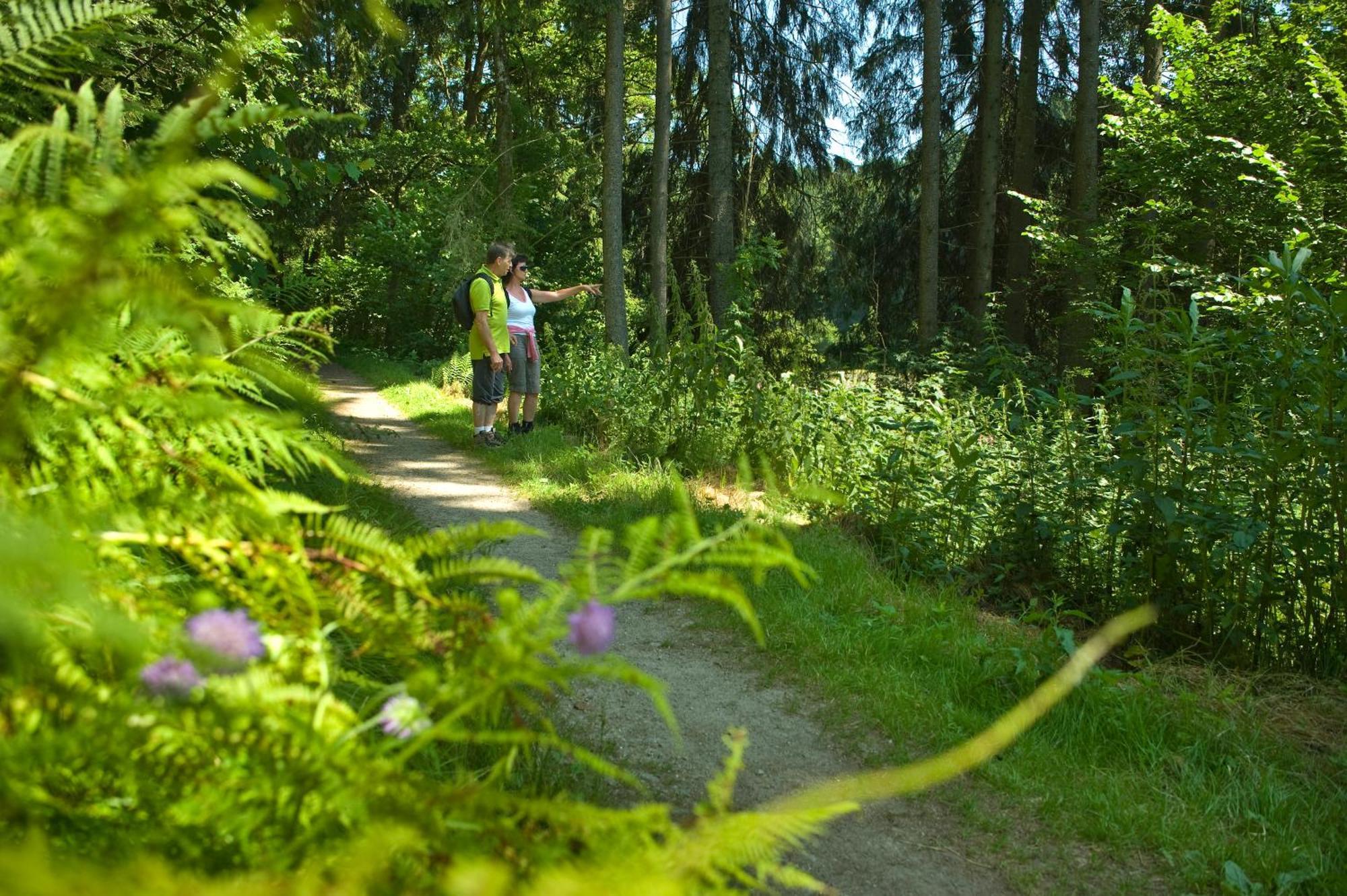 Pension Bergstub'N Saldenburg Dış mekan fotoğraf